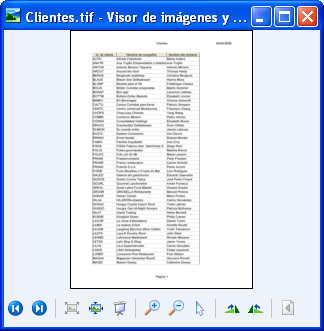 Informe convertido en el Visor de imágenes y fax de Windows.